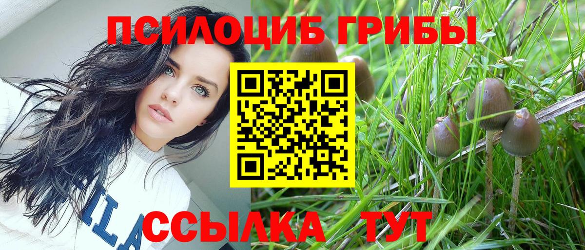 Галлюциногенные грибы мицелий  Галлюциногенные грибы прущие грибы  Вход с VPN  Назарово 